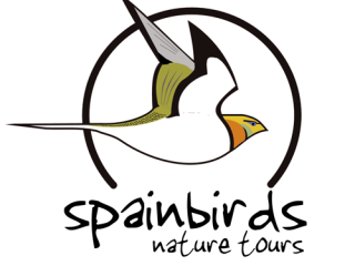Spainbirds Logo