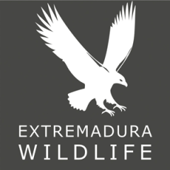 Extremadura wildlife logo