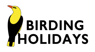Logotipo Birding Holidays