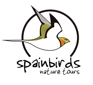 Spainbirds logo