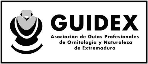 (c) Guidextremadura.com